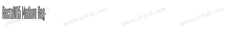 RectaW05 Medium Reg字体转换 RectaW05 Medium Reg字体转换